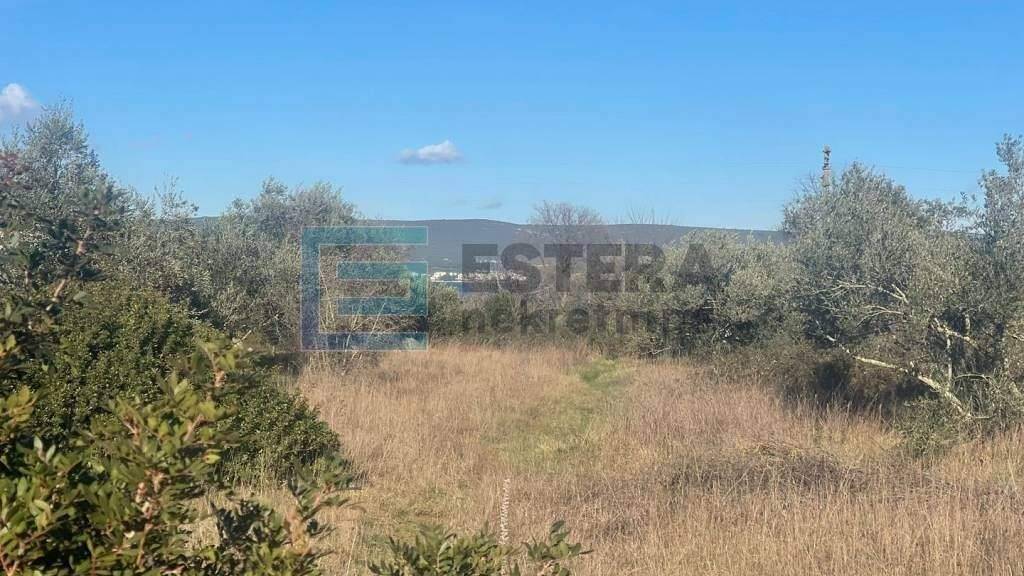 Land-/Forstwirtschaft zum Kauf 130.000 € Pasman