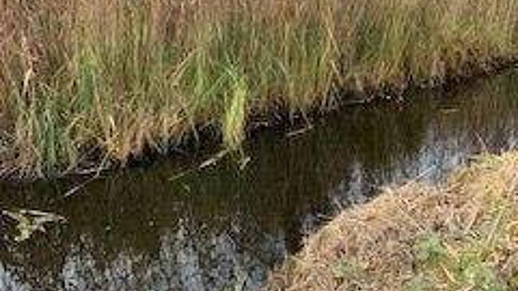 Freizeitgrundstück zum Kauf 39.900 € 19.850 m² Grundstück Wuthenow Neuruppin 16818