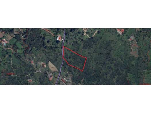 Acker-/Waldstück zum Kauf 25.000 € 26 Parcela 27 27 Icod de los Vinos 38430
