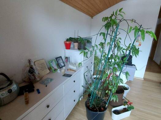 Wohnung zur Miete 580 € 2 Zimmer 44 m² Geschoss 2/2 frei ab 01.04.2026 Welfengasse 3 Oberammergau 82487