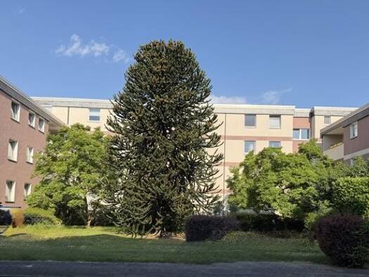 Wohnung zum Kauf 165.000 € 3 Zimmer 75 m² 3. Geschoss Hochheide Homberg / Ruhrort / Baerl 47198