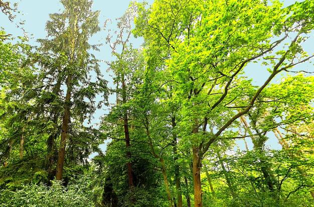 Mehrfamilienhaus zum Kauf provisionsfrei 737.000 € 17 Zimmer 370 m² 5.000 m² Grundstück Max Schmeling Weg 707 Dierstorf-Heide Dierstorfer Heide 21279
