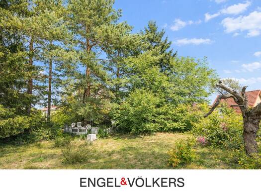 Grundstück zum Kauf 190.000 € 1.023 m² Grundstück frei ab sofort Friedrichsthal Oranienburg 16515