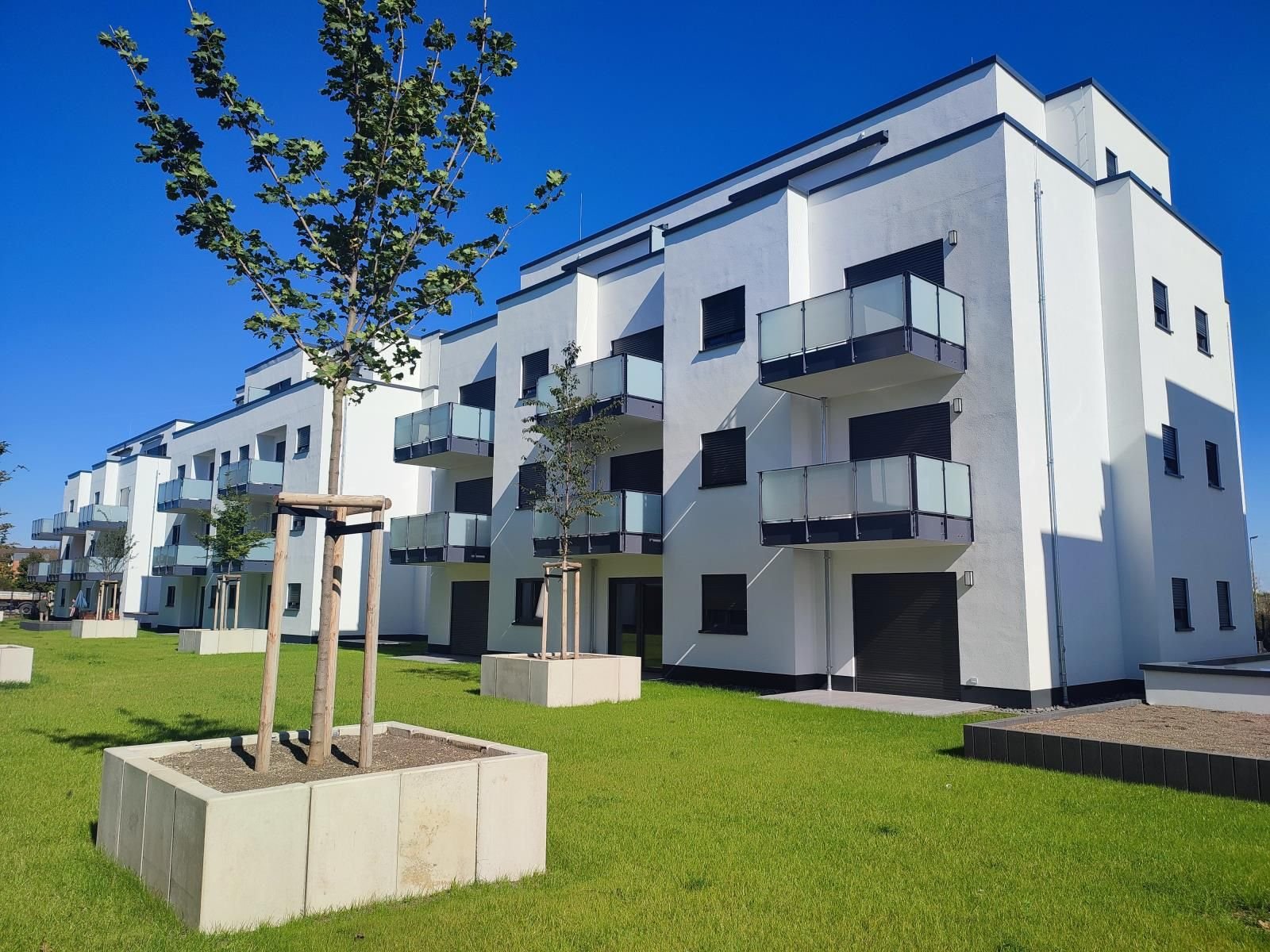 Wohnung zur Miete 1.141 € 3 Zimmer 81 m²<br/>Wohnfläche Gladiolenweg 47a Niederkassel Niederkassel 53859