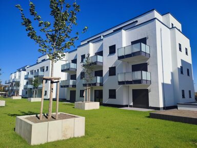 Wohnung zur Miete 1.141 € 3 Zimmer 81 m² Gladiolenweg 47a Niederkassel Niederkassel 53859