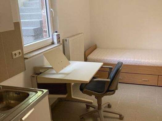 Studio zur Miete 250 € 1 Zimmer 13 m² UG Bruck Erlangen 91058