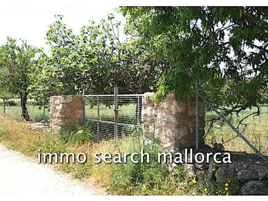 Grundstück zum Kauf provisionsfrei 320.000 € 16.200 m² Grundstück Arta 07570