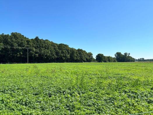 Land-/Forstwirtschaft zum Kauf 186.435 € 12.429 m² Grundstück Lüdinghausen Lüdinghausen 59348
