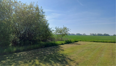 Grundstück zum Kauf provisionsfrei 10.000 € 494 m² Grundstück Sonnewalde Sonnewalde 03249