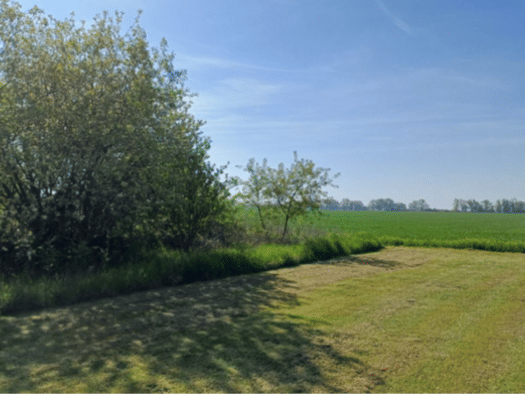Grundstück zum Kauf provisionsfrei 10.000 € 494 m² Grundstück Sonnewalde Sonnewalde 03249