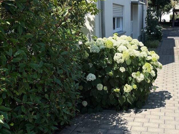 Wohnung zum Kauf provisionsfrei 599.000 € 3 Zimmer 70,8 m² EG Heilbronn Heilbronn 74074