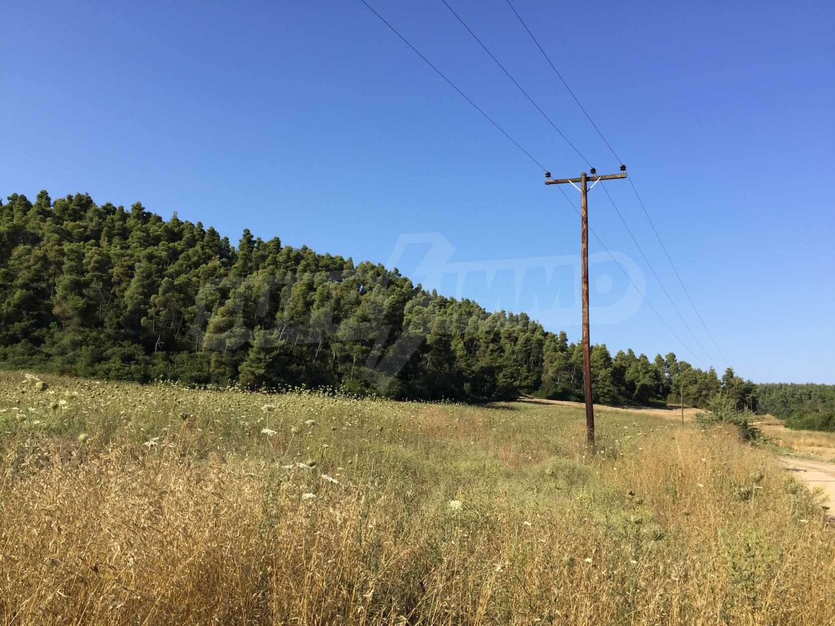 Landwirtschaftliche Fläche zum Kauf 400.000 € Elani