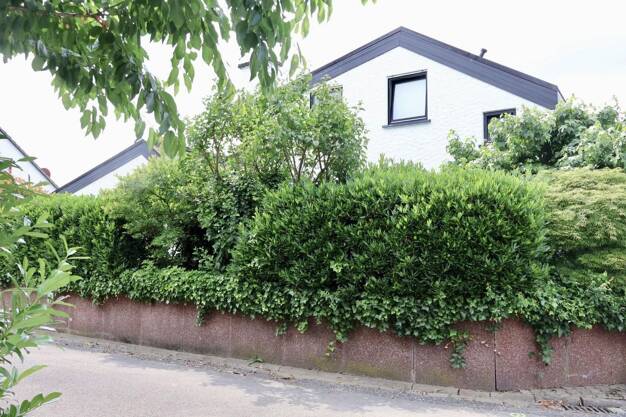 Einfamilienhaus zum Kauf provisionsfrei 620.000 € 5 Zimmer 210 m² 584 m² Grundstück Neuenhaßlau Hasselroth 63594