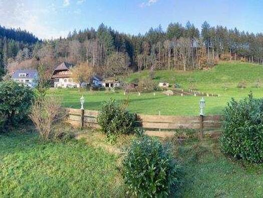 Haus zum Kauf provisionsfrei 500.000 € 15 Zimmer 250 m² 2.300 m² Grundstück Dorfstr. 29, 31 Schapbach Bad Rippoldsau-Schapbach 77776