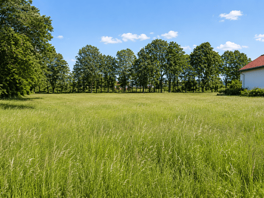 Grundstück zum Kauf 270.000 € 1.560 m² Grundstück Pöllersdorf Goldkronach 95497