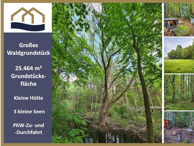 Freizeitgrundstück zum Kauf 119.000 € 25.464 m² Grundstück Hankhausen I Rastede 26180