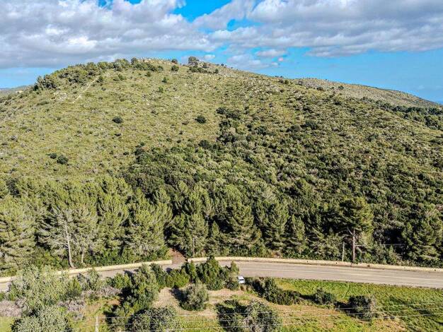 Grundstück zum Kauf provisionsfrei 790.000 € 92.450 m² Grundstück Canyamel 07589