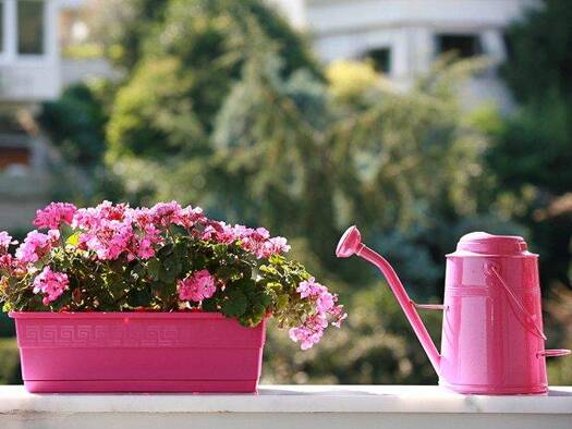 Wohnung zur Miete 395 € 2 Zimmer 55,3 m² 2. Geschoss frei ab sofort Hohenkrogstraße 4 Lensahn 23738