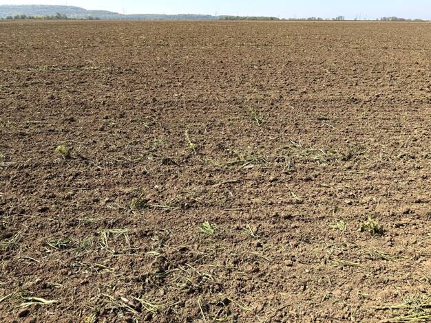 Landwirtschaftliche Fläche zum Kauf 42.237 m² 42.237 m² Grundstück Büsdorf Bergheim 50129