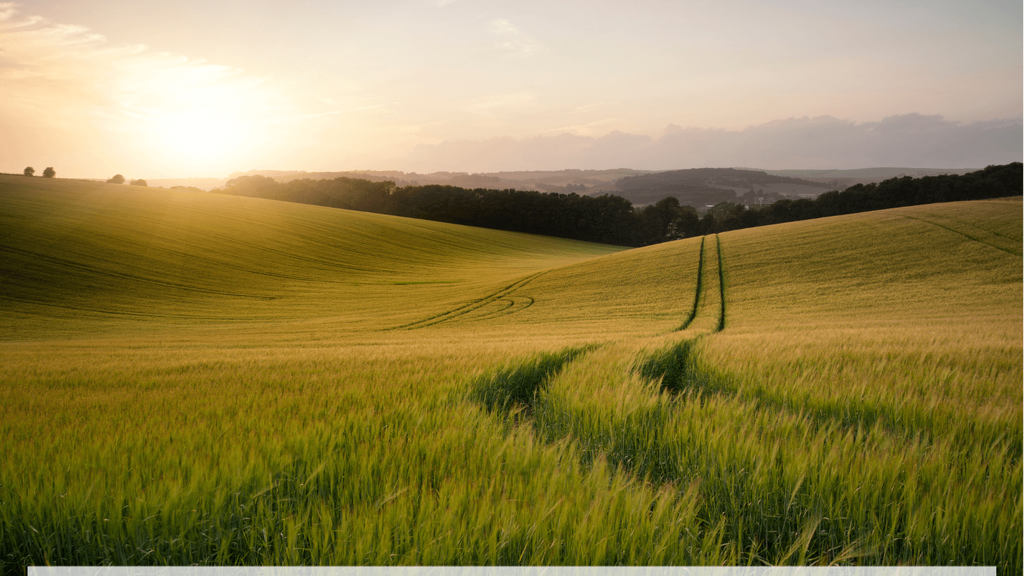 Land-/Forstwirtschaft zum Kauf 69.800 € 3.882 m² Grundstück Röhrmoos 85244