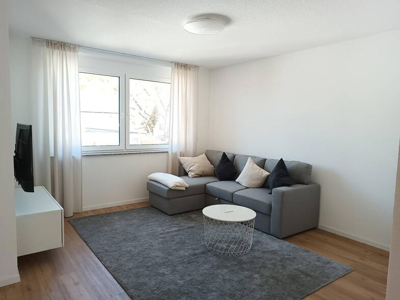 Wohnung zur Miete Wohnen auf Zeit 1.250 € 2 Zimmer 62 m² frei ab sofort Leutkirchstraße 41 Oberschopfheim Friesenheim 77948
