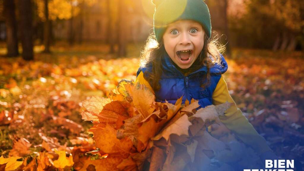 Freizeitgrundstück zum Kauf 330.000 € 782 m² Grundstück Gabelbach Zusmarshausen 86441