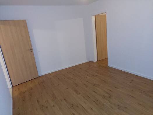 Wohnung zur Miete 440 € 2 Zimmer 45 m² frei ab 01.08.2026 Waldrach 54320