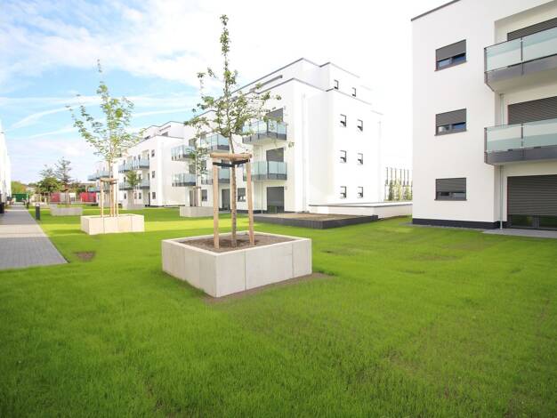 Wohnung zur Miete 1.211 € 3 Zimmer 79,4 m² EG frei ab sofort Gladiolenweg 47a Niederkassel 53859
