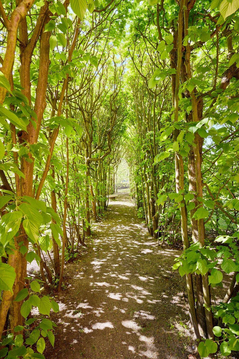 Property thumbnail 18