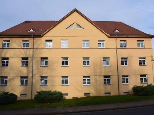 Wohnung zur Miete 275 € 2 Zimmer 47 m² 2. Geschoss Am Ring 21 Colditz 04680