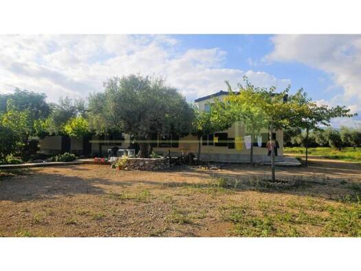 Acker-/Waldstück zum Kauf 350.000 € Ulldecona 43550