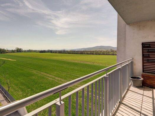 Wohnung zum Kauf 349.000 € 3,5 Zimmer 88 m² Laxenburg 2361