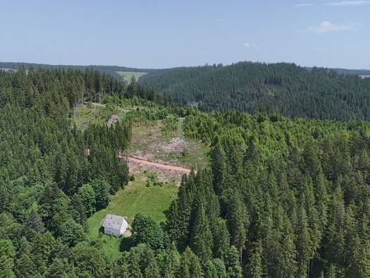 Einfamilienhaus zum Kauf 280.000 € 6 Zimmer 130 m² 19.138 m² Grundstück Stadtgebiet Furtwangen im Schwarzwald 78120