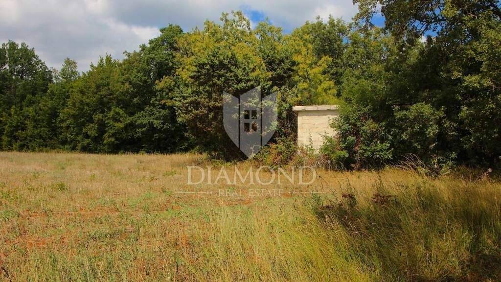 Land-/Forstwirtschaft zum Kauf 146.000 € Barban Barban