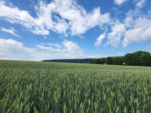 Grundstück zum Kauf 284.648 € 952 m² Grundstück Denn-/Dittershausen Fuldabrück 34277