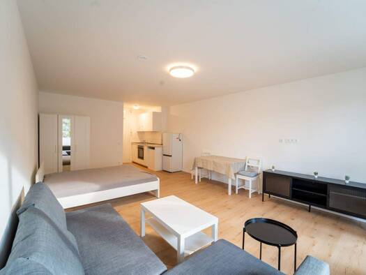 Studio zur Miete Wohnen auf Zeit 1.059 € 1 Zimmer 39 m² frei ab 01.03.2026 Eilbek Hamburg 22089