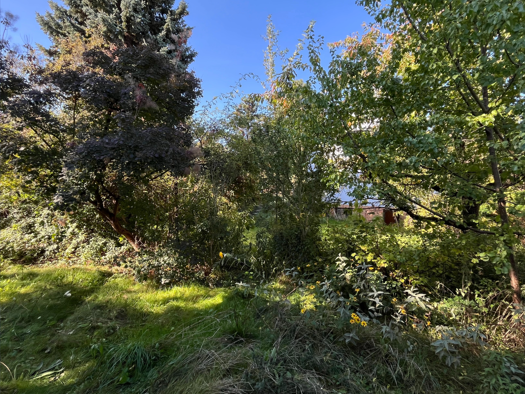 Grundstück zum Kauf 200.000 € 401 m² Grundstück Biesdorf Berlin 12683