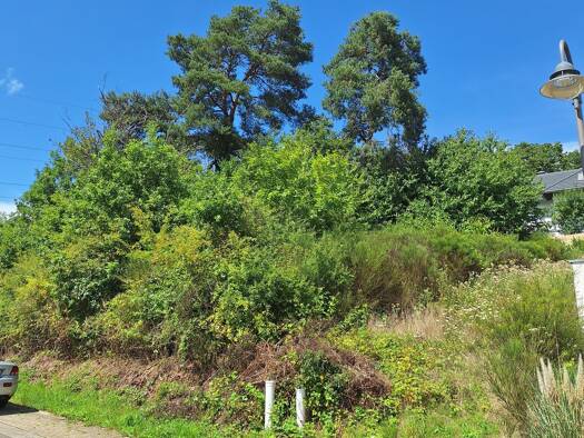 Grundstück zum Kauf 200.400 € 668 m² Grundstück frei ab sofort Saarburg 54439