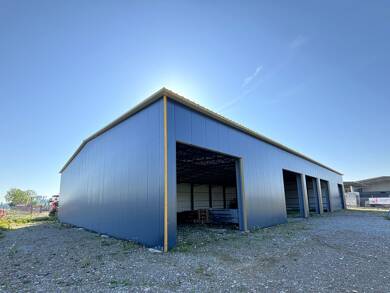 Lagerhalle zum Kauf 1.390.000 € 1.055 m² Lagerfläche Westerheim Westerheim 87784