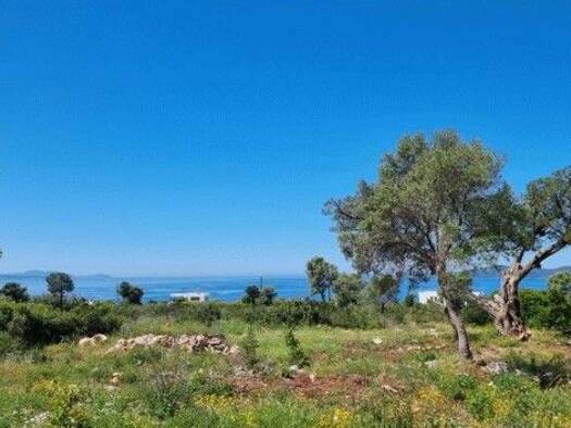 Grundstück zum Kauf 230.000 € 5.868 m² Grundstück Lefkada Municipality 31100