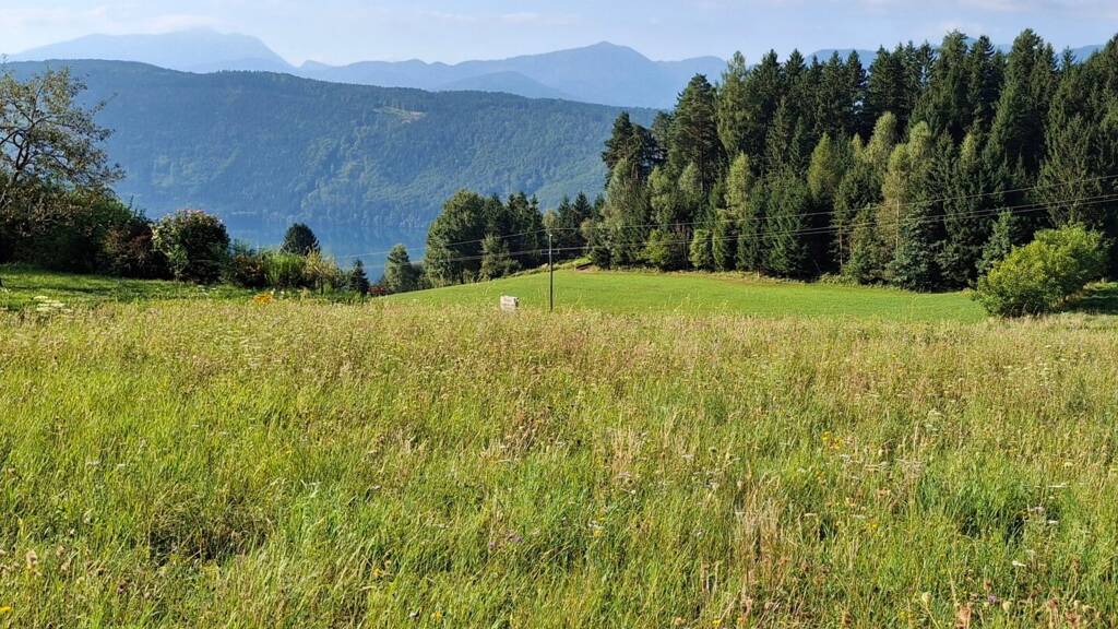 Grundstück zum Kauf 234.025 € 1.265 m² Grundstück Sappl 9872