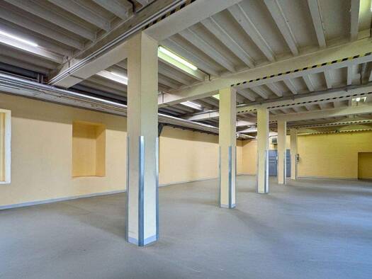 Lagerhalle zur Miete 10 € 278 m² Lagerfläche Wien 1110