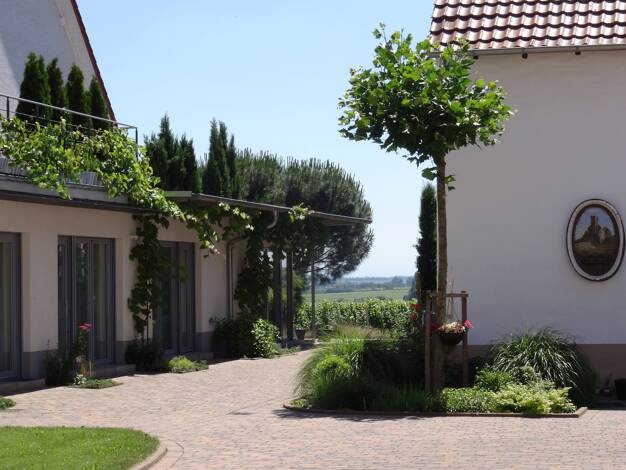 Studio zur Miete auf Zeit 800 € 1 Zimmer 35 m² frei ab 01.07.2026 Wachenheim an der Weinstraße 67157