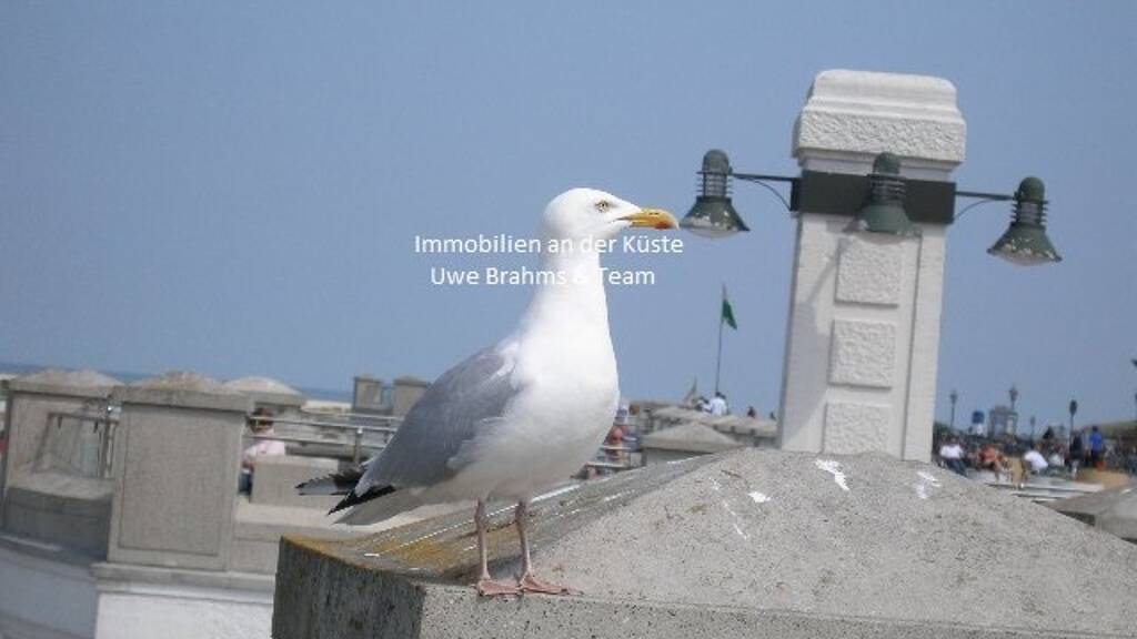 Halle/Industriefläche zur Miete 6 € 2.500 m² Lagerfläche Friesland Emden 26725