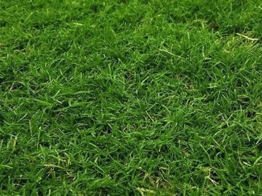 Grundstück zum Kauf 48.000 € 800 m² Grundstück Ravno 88370