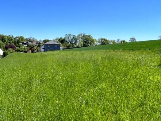 Grundstück zum Kauf 93.500 € 550 m² Grundstück Oberlauter Lautertal 96486