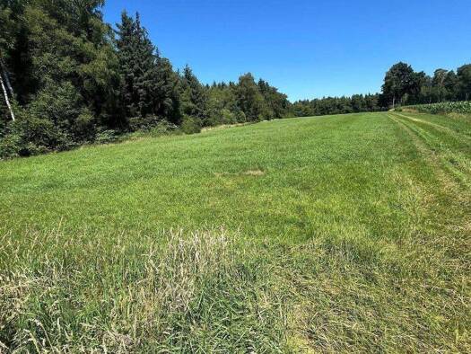 Land-/Forstwirtschaft zum Kauf 148.000 € Wiegersen Sauensiek 21644