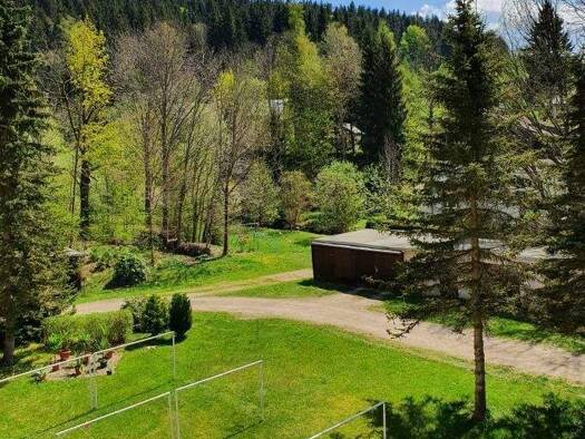 Wohnung zur Miete 300 € 3 Zimmer 67 m² Holzhau Rechenberg-Bienenmühle 09623