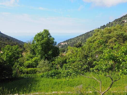 Grundstück zum Kauf 1.260.000 € 2.350 m² Grundstück LA TURBIE 06320