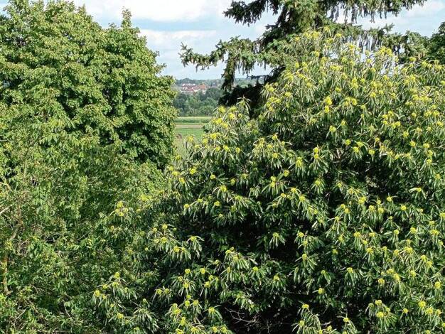 Wohnung zur Miete 570 € 2 Zimmer 75 m² 2. Geschoss frei ab 01.12.2025 Saarlouis 66740